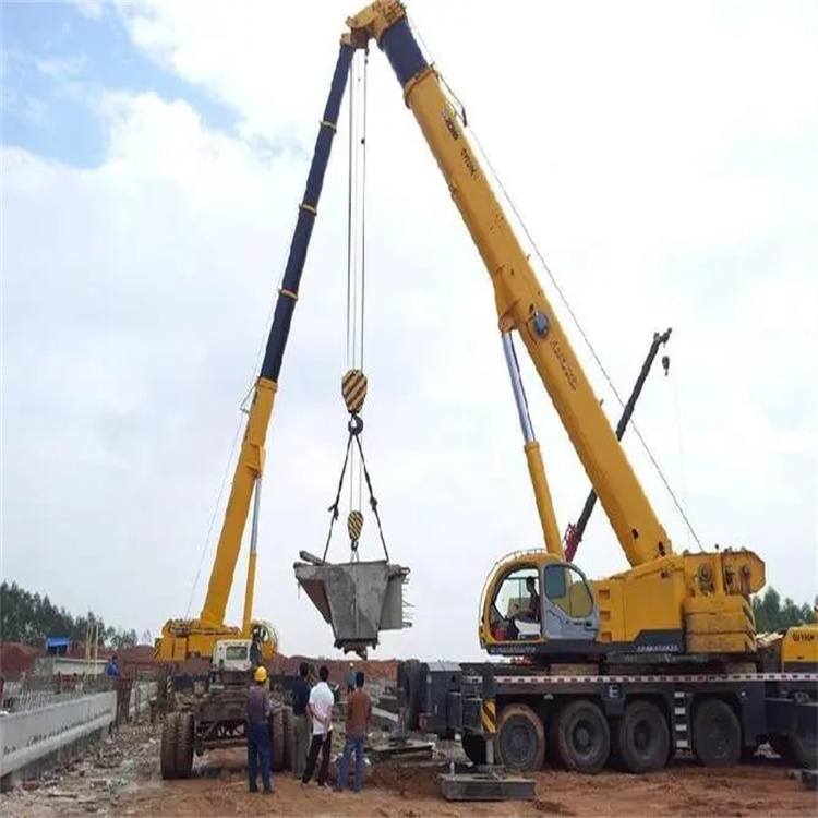 揭东小型吊机出租电话|厂房设备吊装方案|24小时服务覆盖